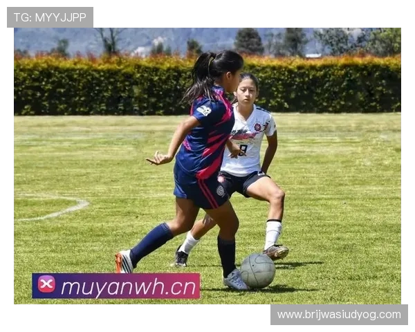 九游网站入口官网官方入口地址查询及登录流程详细解析